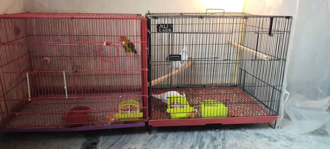 Cages