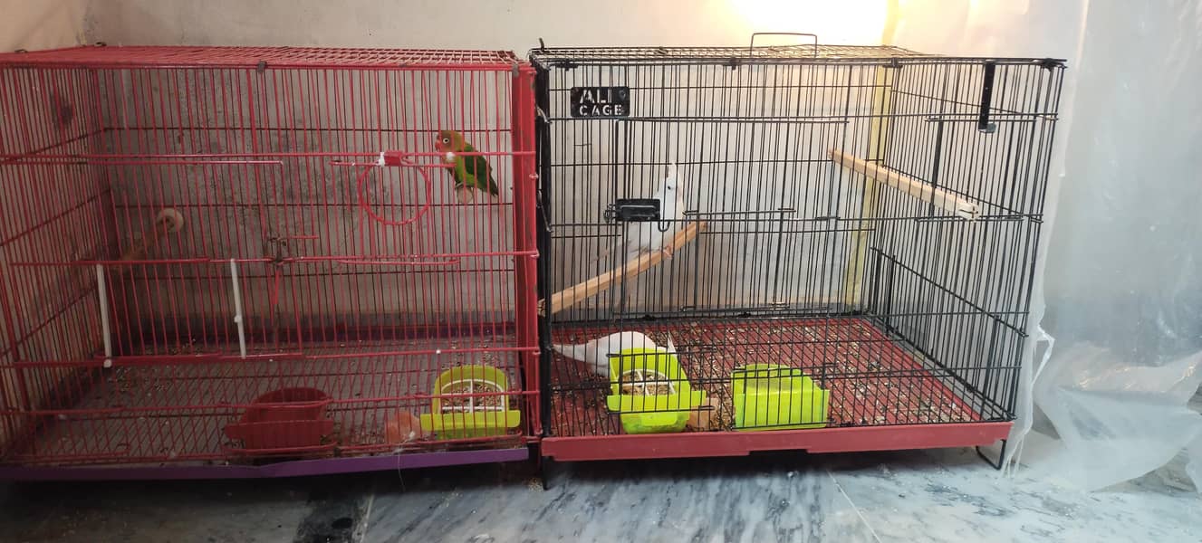 Cages 0