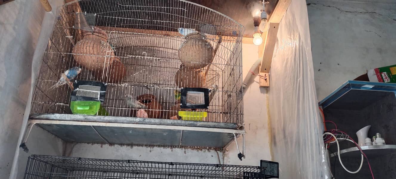 Cages 1