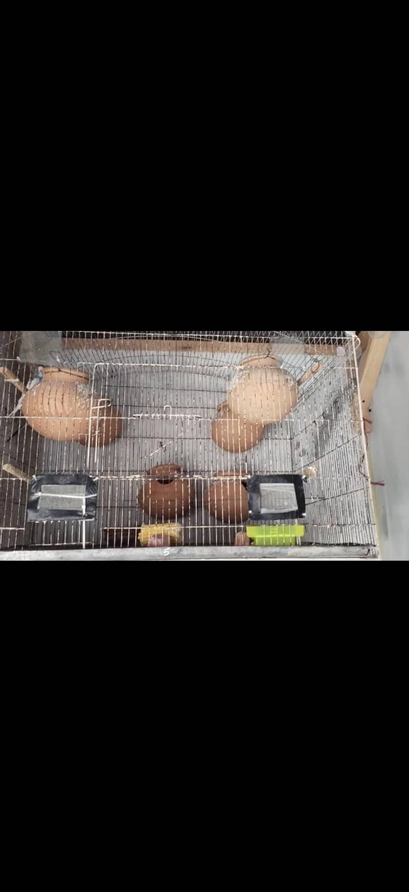 Cages 4