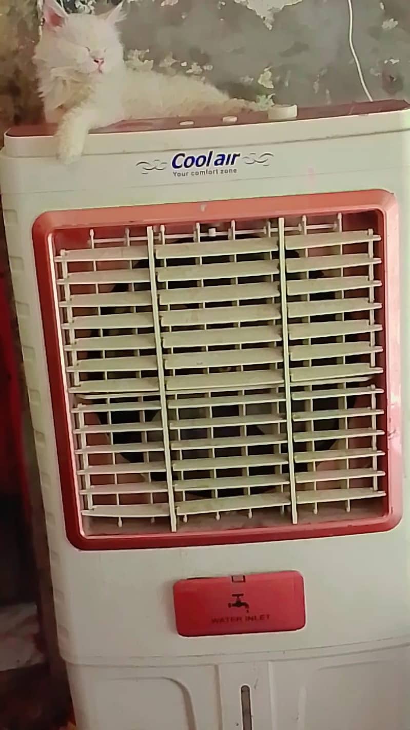 cooler 0