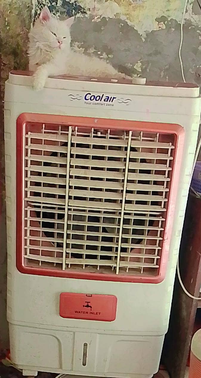 cooler 1
