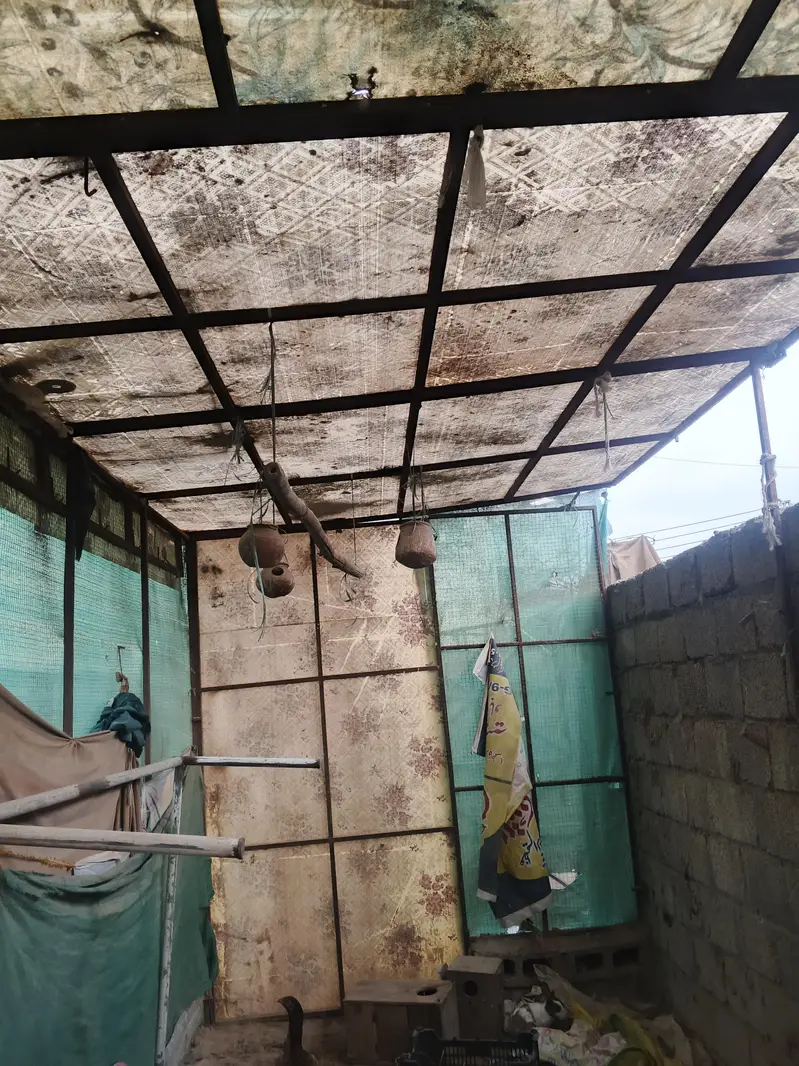 cage with fiberglass rooftop — photo 2