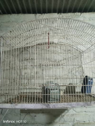 parrots Cage