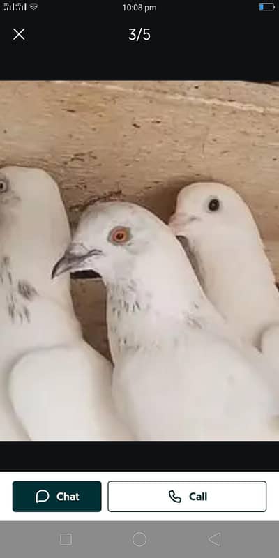 pair pegan Ka pair ha pati wala