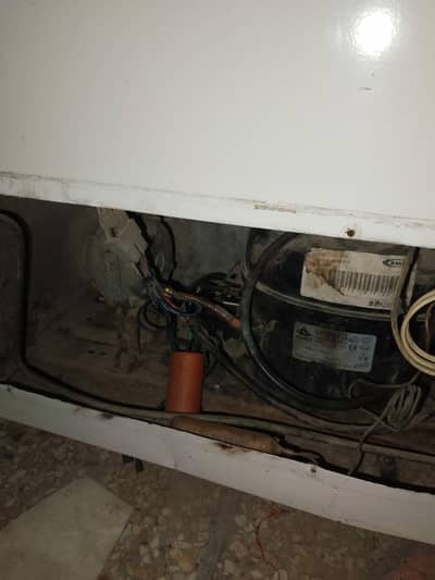 Waves Deep Freezer – Excellent Cooling Condition – 40,000 PKR