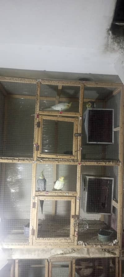 breeder pairs