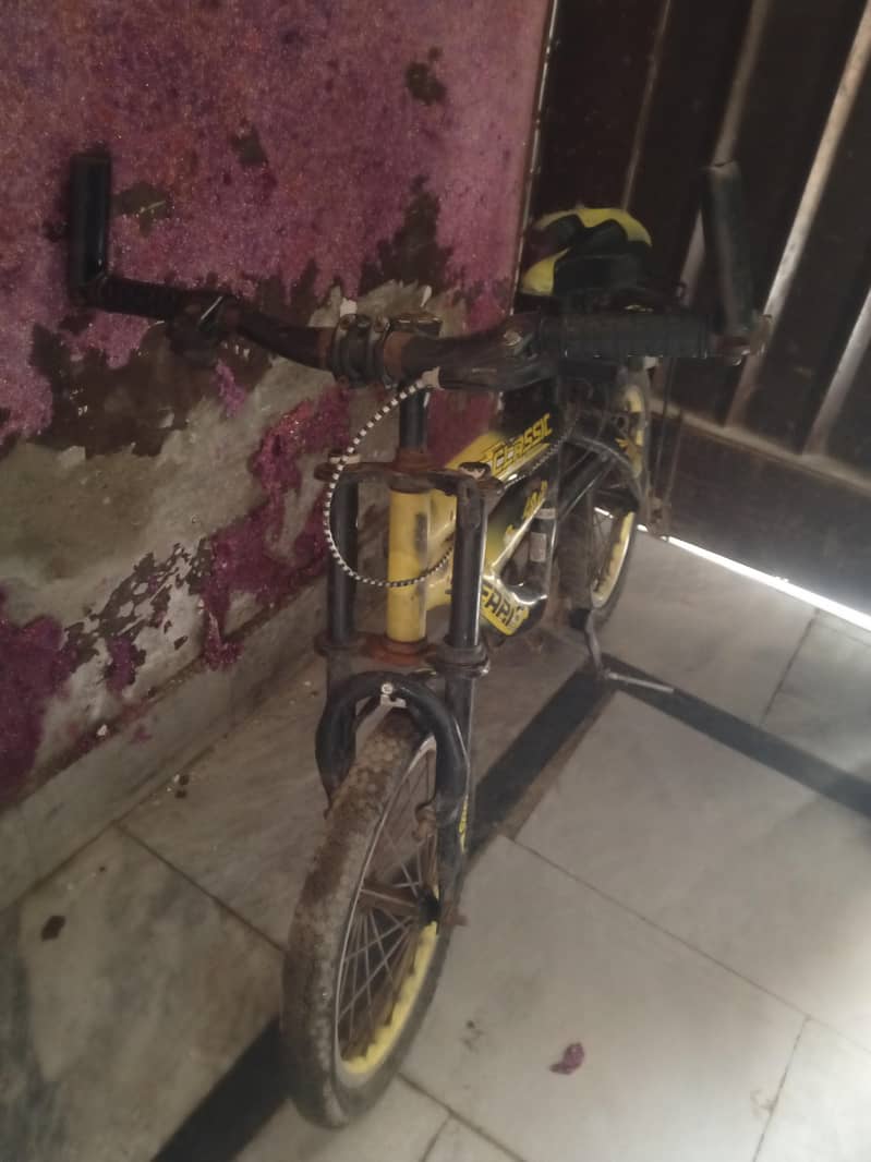 Bicycle 1
