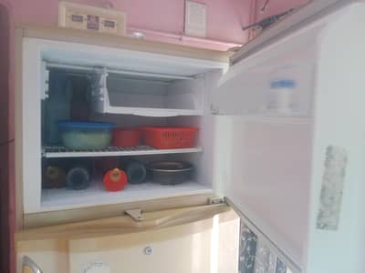 PEL fridge