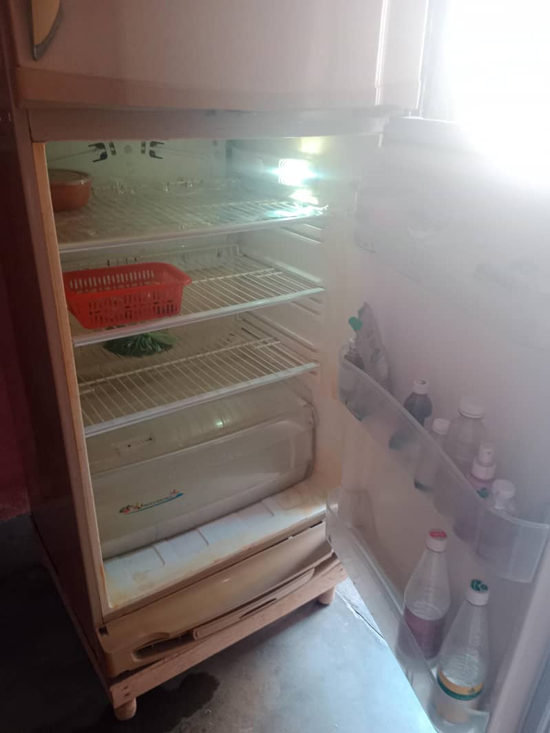 PEL fridge 1