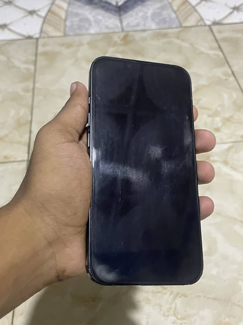 Apple iPhone 13 0
