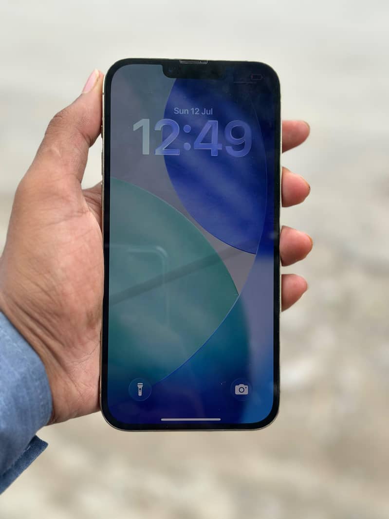 Apple iPhone 13 Pro Max 1