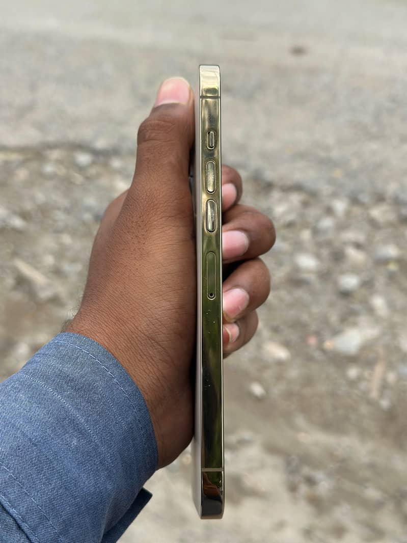 Apple iPhone 13 Pro Max 4