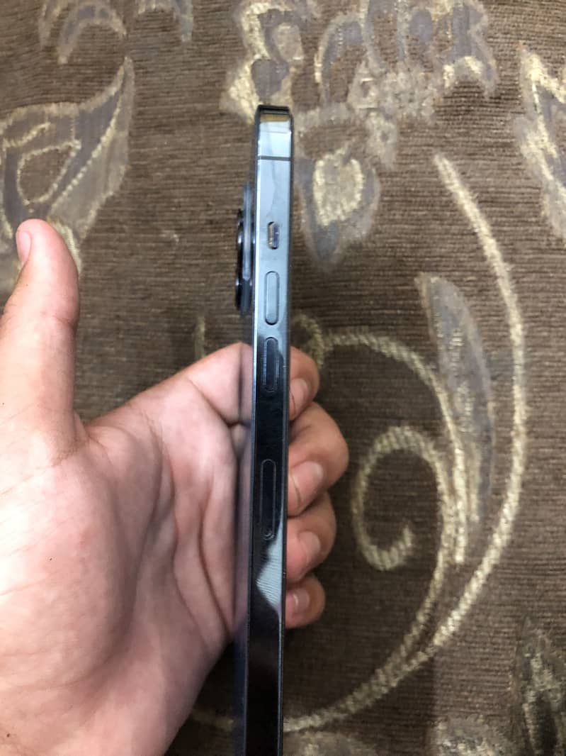 Apple iPhone 12 Pro Max 1