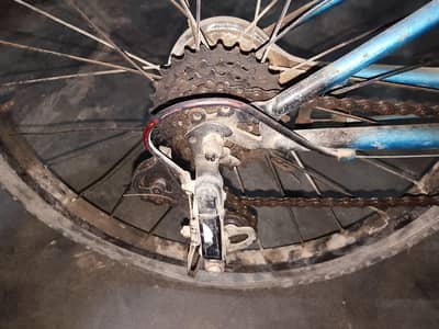 cycle