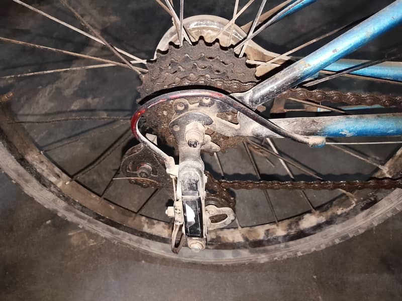 cycle 0