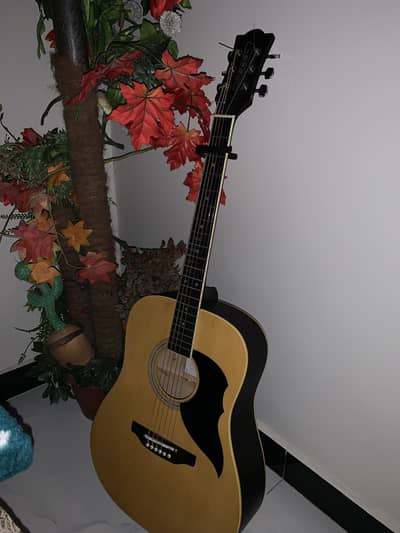 Italian EKO Professional Acoustic Guitar | Double truss rod low action