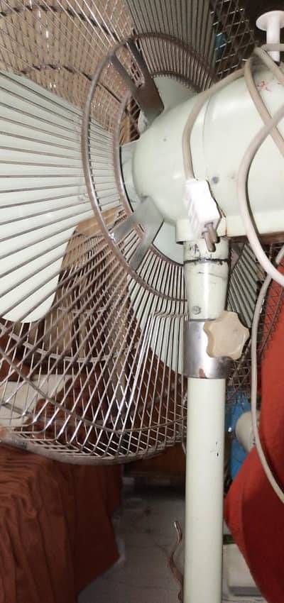 Pedestal fan 24 inch
