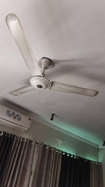 climax fans for sale