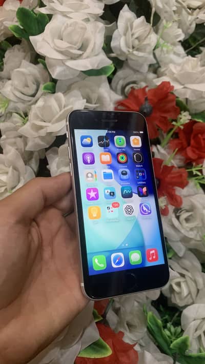 Apple iPhone SE PTA Approved