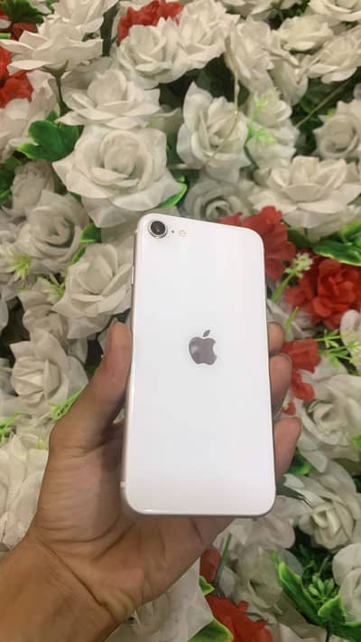 Apple iPhone SE PTA Approved