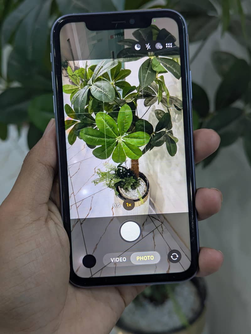 Apple iPhone 11 1