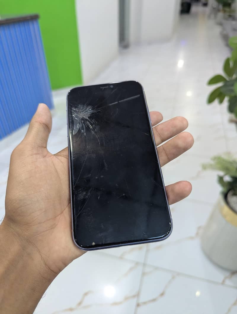 Apple iPhone 11 2