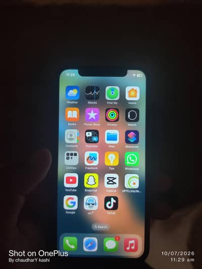Apple iPhone X