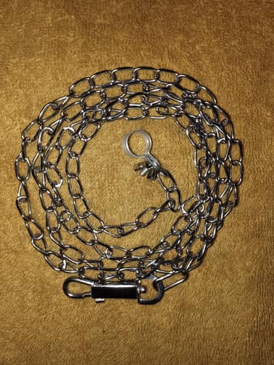 Tame Bird Important Chain 0320-4592532