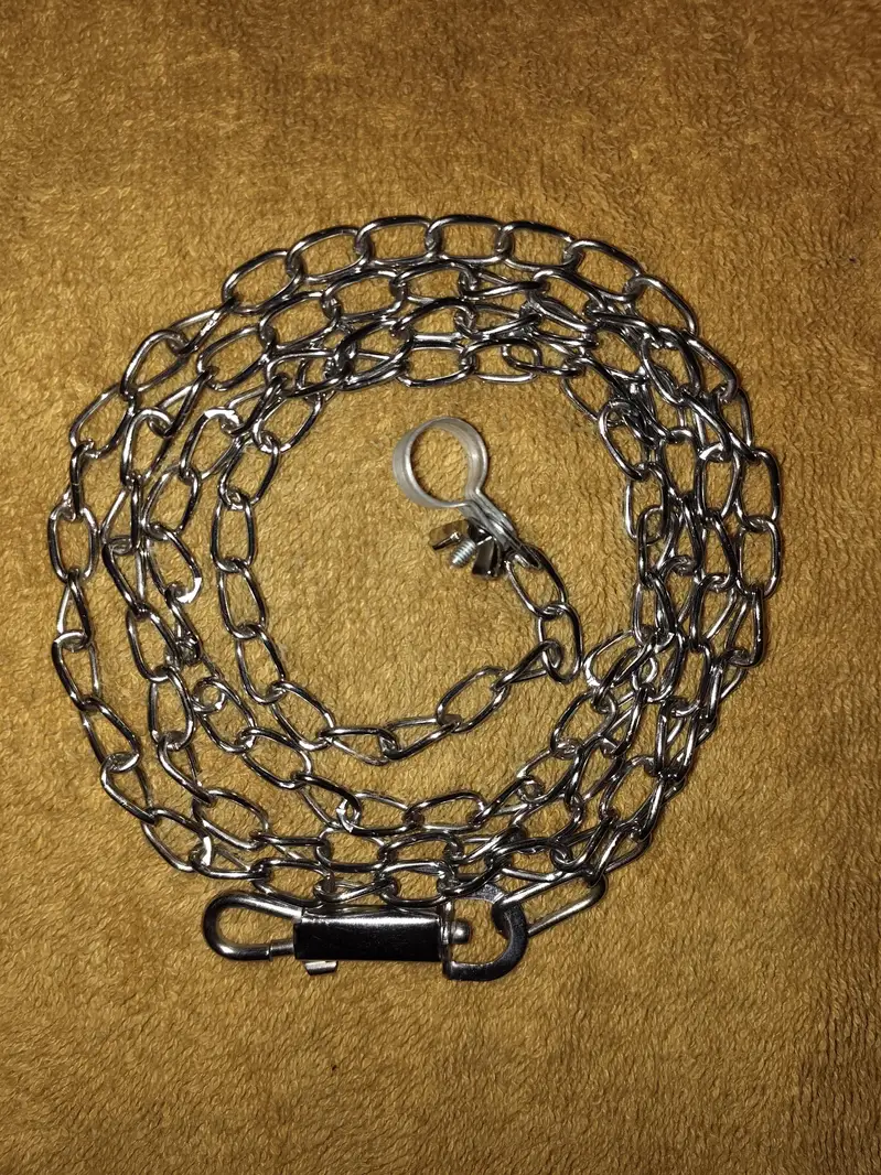 Tame Bird Important Chain 0320-4592532