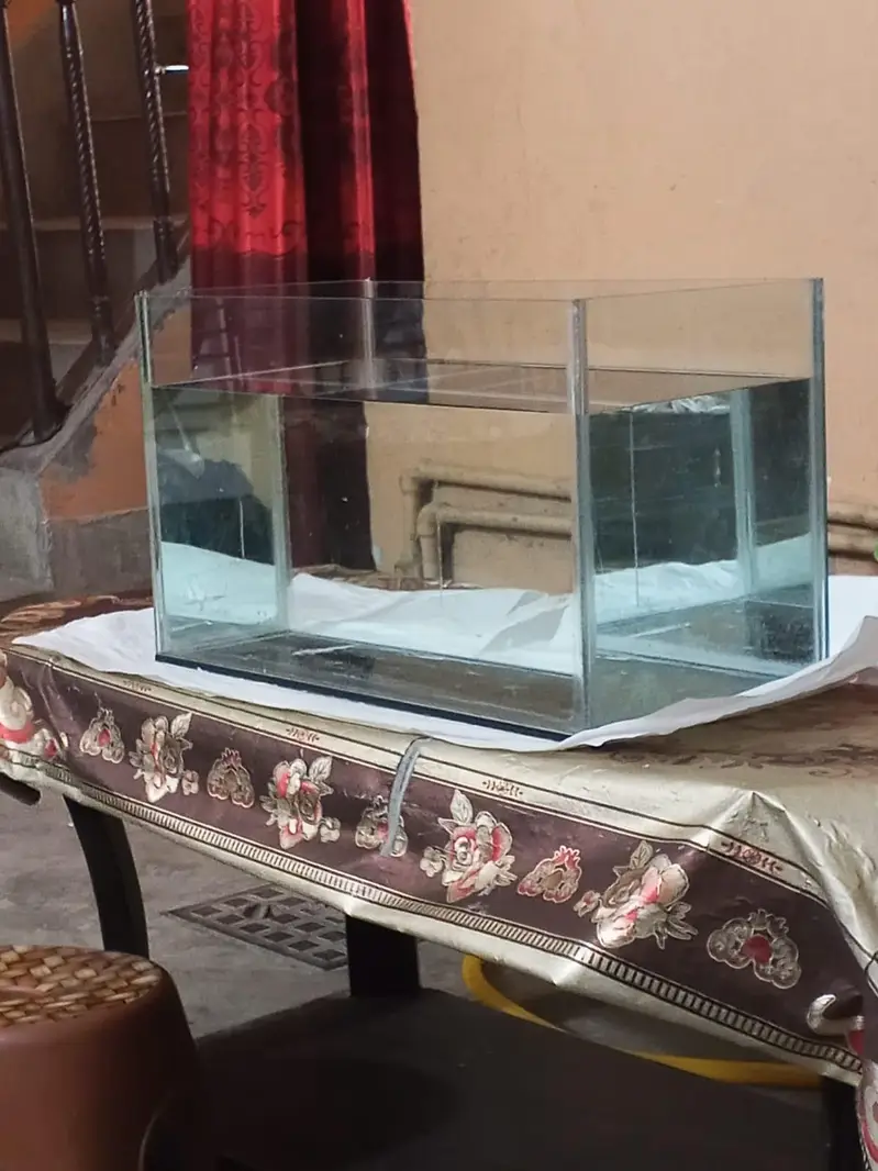 2 FEET AQUARIUM WITH COMPLETE SETUP — photo 3