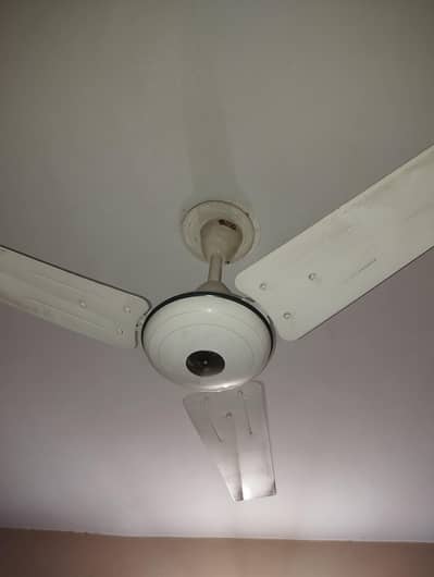 Ceiling Fans x3