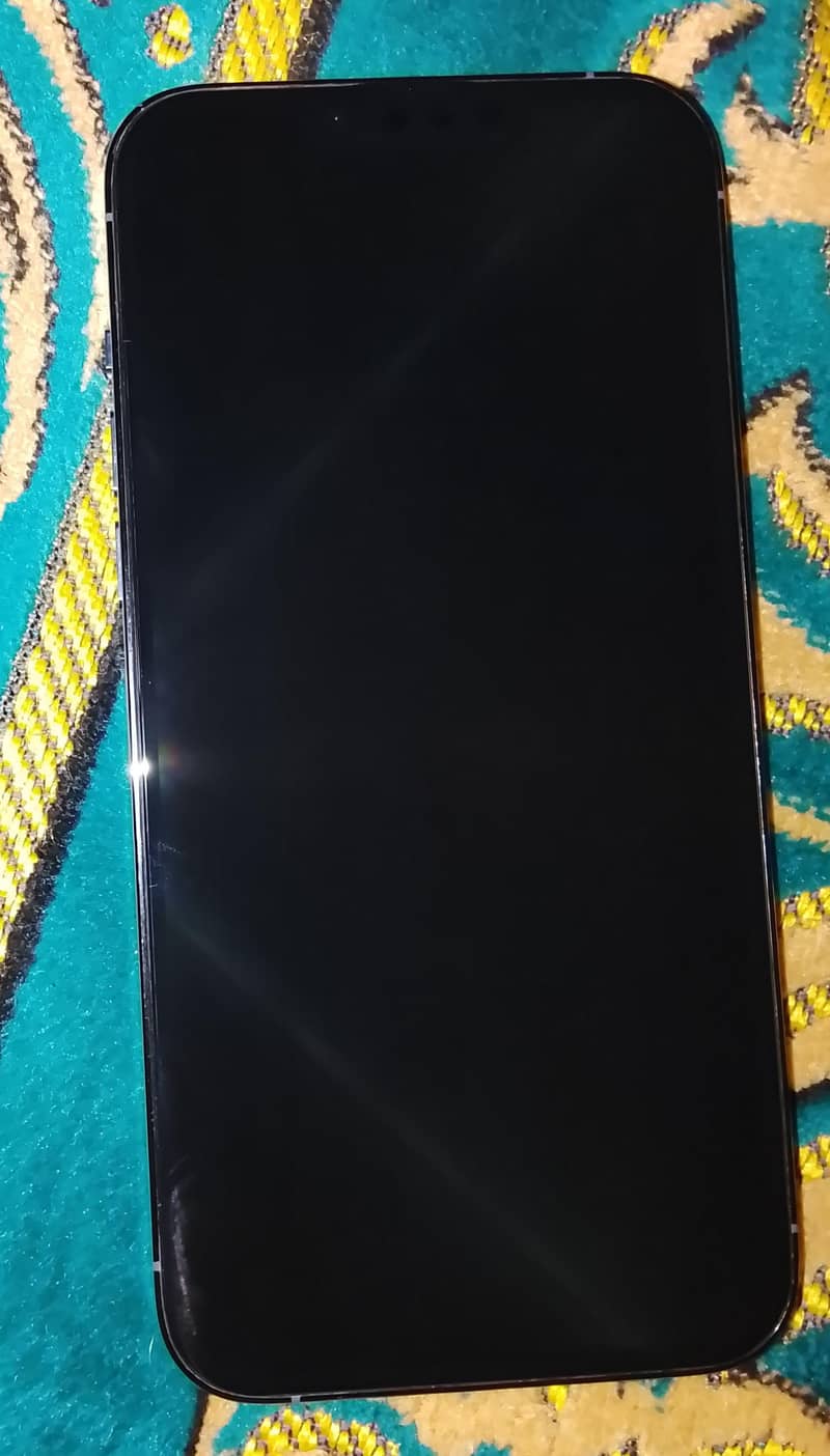 Apple iPhone 13 Pro Max 1