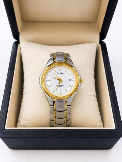 ALBA Original Two Tone Stainless Steel Quartz Watch – 5 BAR