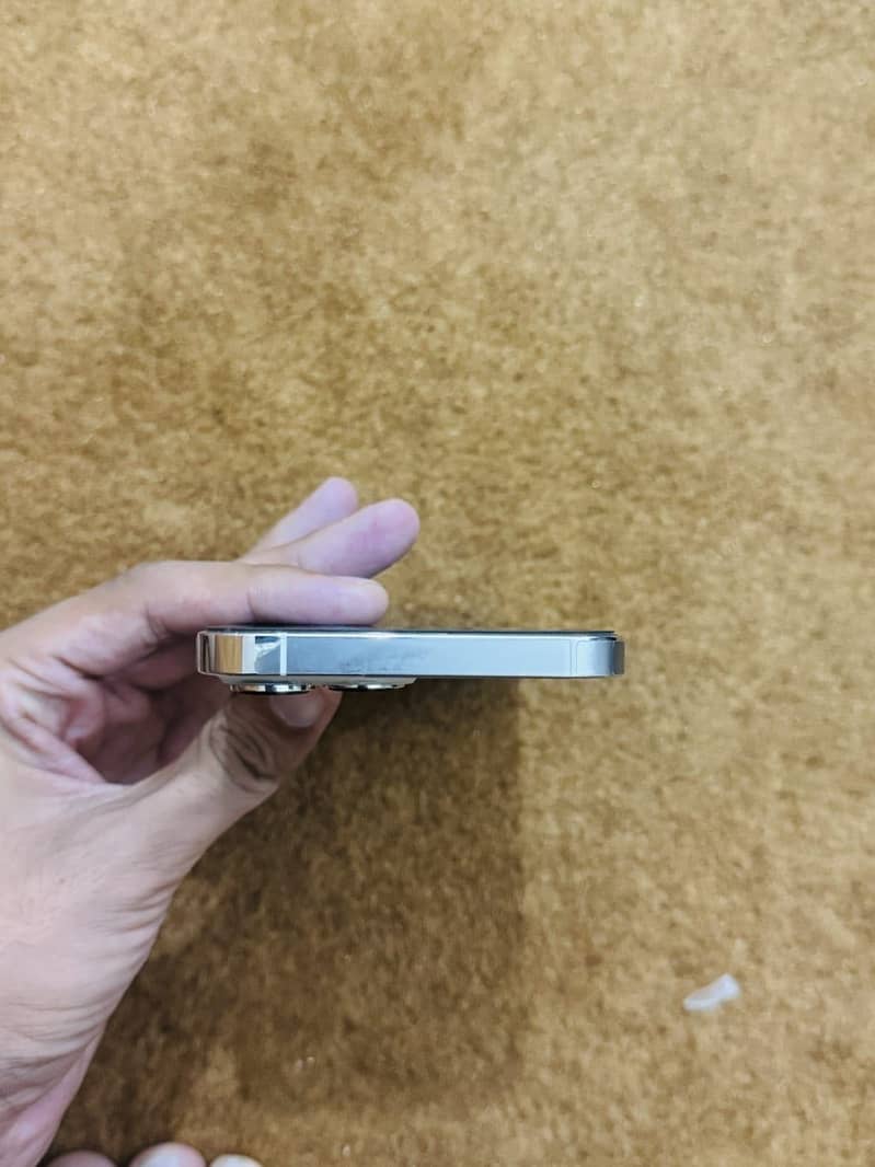 Apple iPhone 13 Pro Max 1