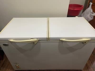 Waves Double Door Freezer