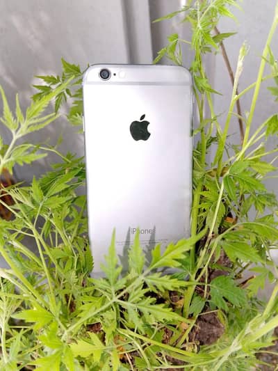 Apple iPhone 6
