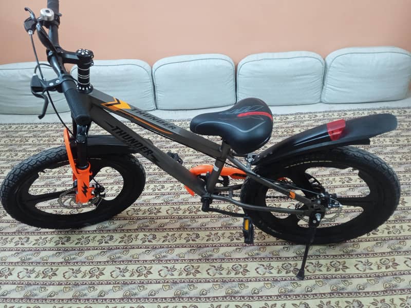 bycycle 2