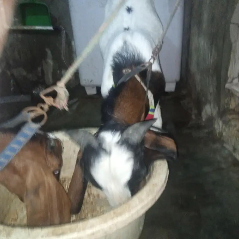 He do bakery hai — photo 3