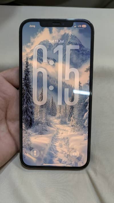Apple iPhone 12 Pro Max