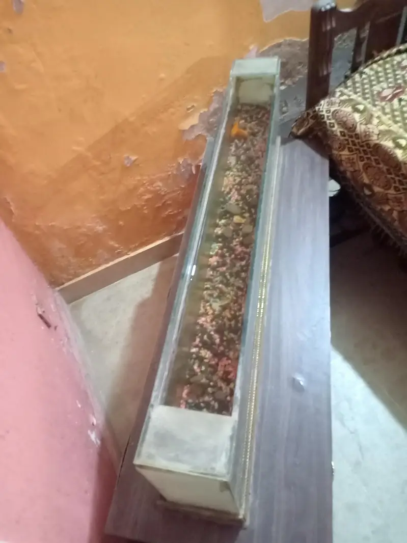 Custom Built Heavy-Duty Glass Aquarium (5mm Thickness) — photo 3