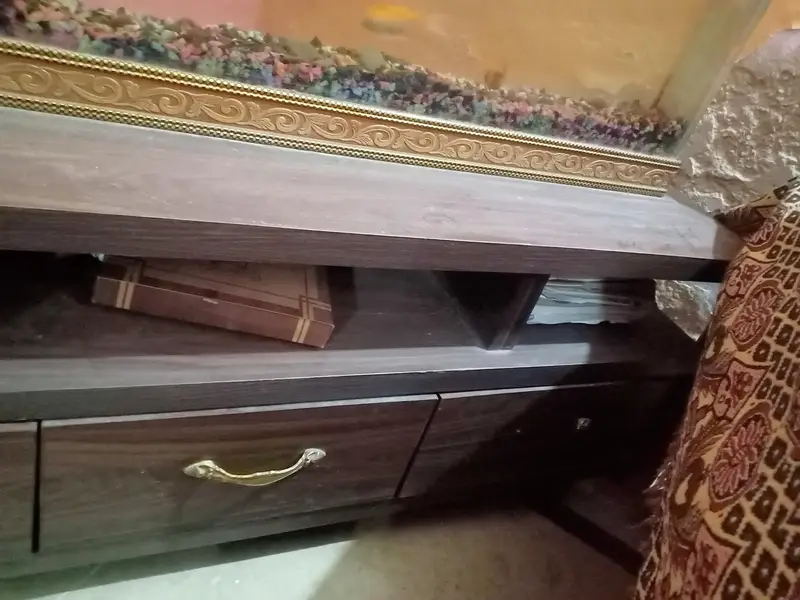 Custom Built Heavy-Duty Glass Aquarium (5mm Thickness) — photo 4