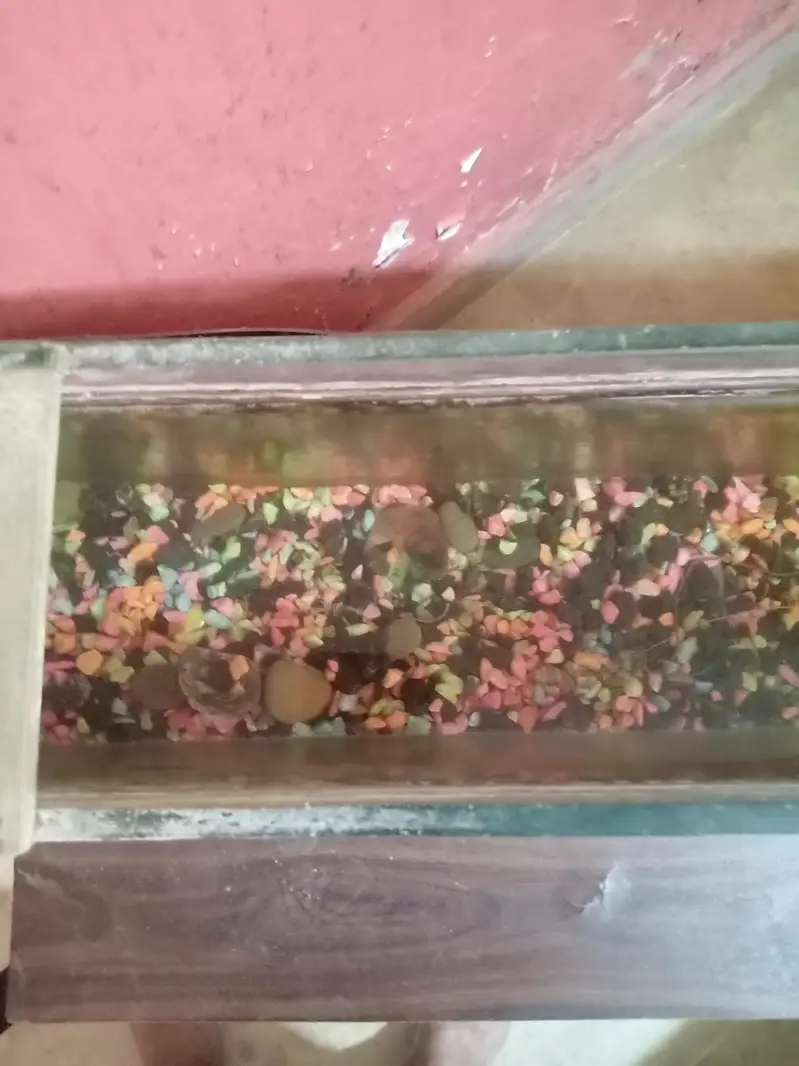 Custom Built Heavy-Duty Glass Aquarium (5mm Thickness) — photo 5