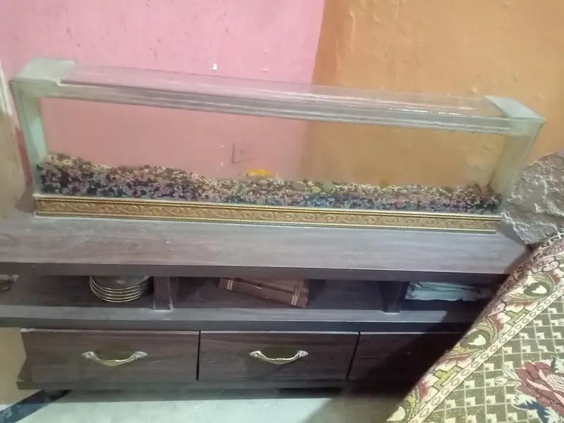Custom Built Heavy-Duty Glass Aquarium (5mm Thickness) — photo 6
