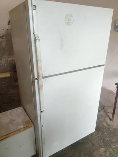 candin fridge