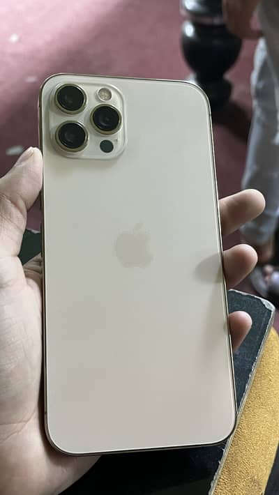 Apple iPhone 12 Pro Max