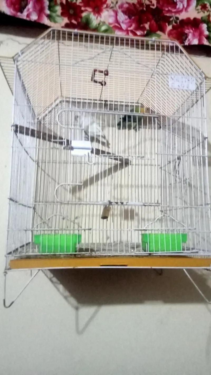 Healthy and active beautiful pair — photo 2
