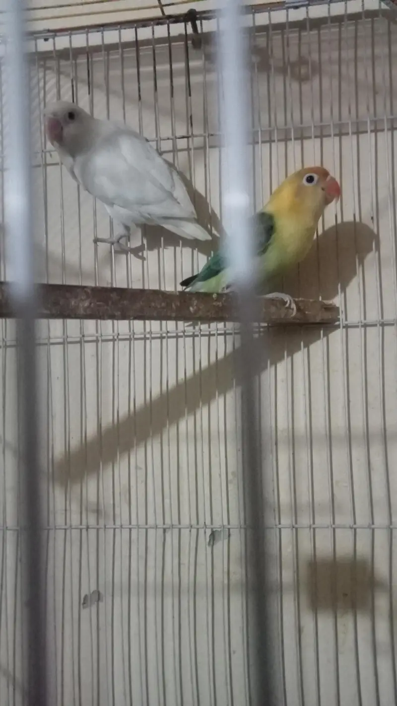 Healthy and active beautiful pair — photo 3