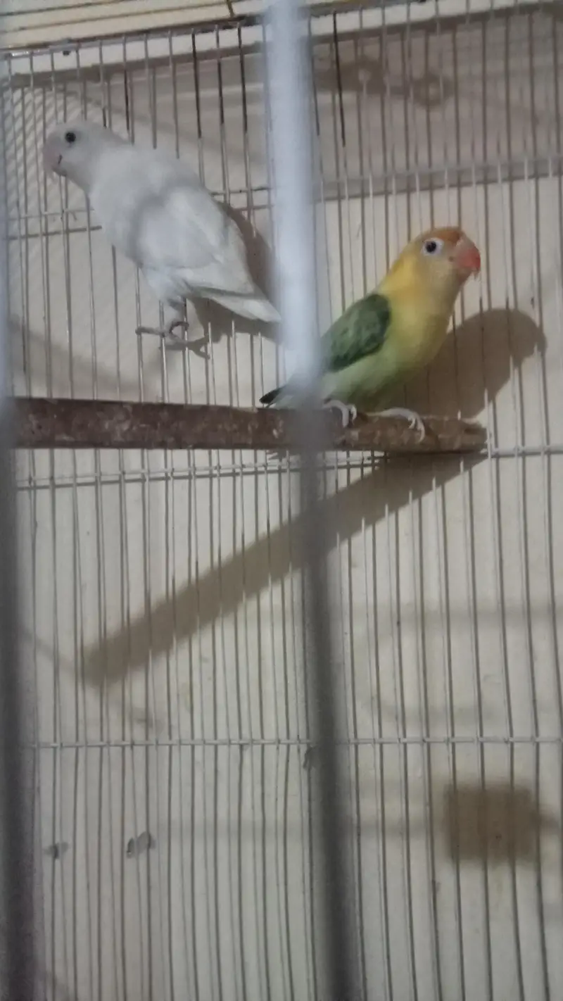 Healthy and active beautiful pair — photo 4