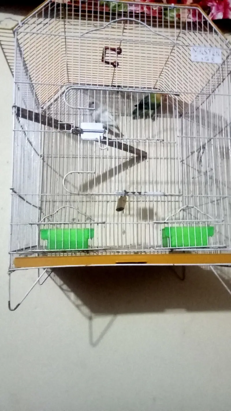 Healthy and active beautiful pair — photo 5